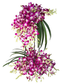 2 Tier Orchids