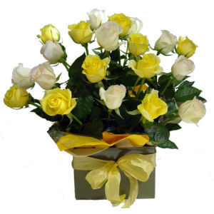 12 Yellow Roses in a Basket