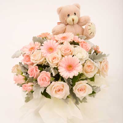 Teddy sitting in Basket with 18 pink Gerberas