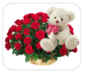 12 Red Roses with a Teddy