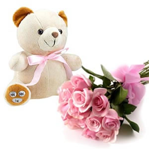 Teddy+ 30 pink roses 
