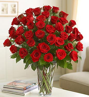 24 Red Roses in Vase